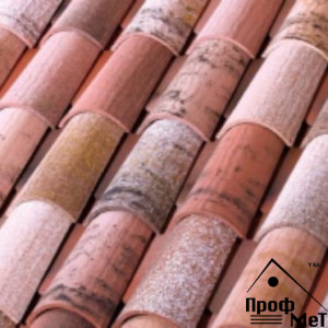 Tejas Borja Монах-монашка Centenaria Ground